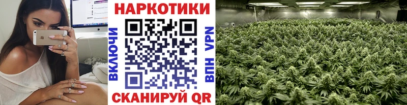 Магазин наркотиков Шуя ОМГ ОМГ ссылки  Псилоцибиновые грибы  COCAIN  Мефедрон  ГАШИШ  Бошки Шишки  Alpha PVP 