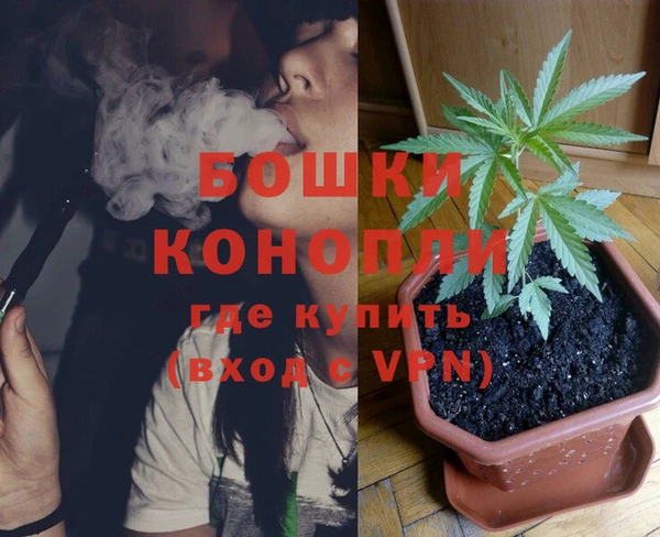 сатива Белоозёрский