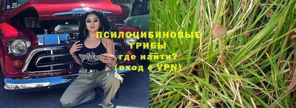 Альфа ПВП Пересвет