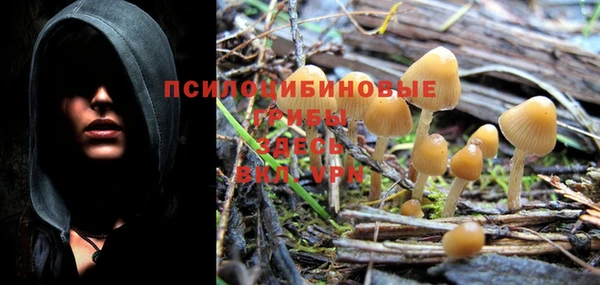 гашиш Белокуриха