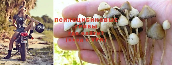 гидропоника Беломорск