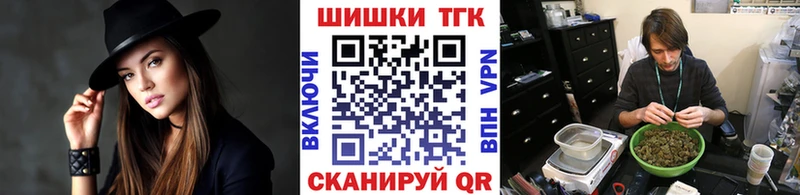 Канабис план  продажа наркотиков  Шуя 